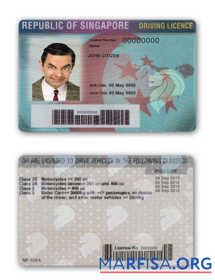 Realistic Singapore driving license real example